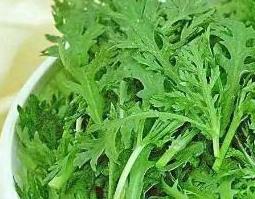 野蒿子的功效与作用 野蒿子的功效与作用泡脚