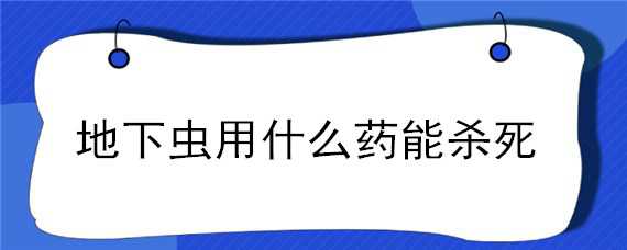 地下虫用什么药能杀死 地下虫用什么药能杀死,多少钱一同