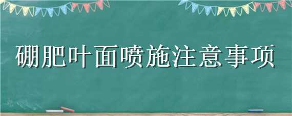 硼肥叶面喷施注意事项（硼叶面肥什么时候喷）