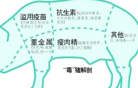 猪饲料中添加瘦肉精的危害 猪饲料中添加瘦肉精的危害有哪些