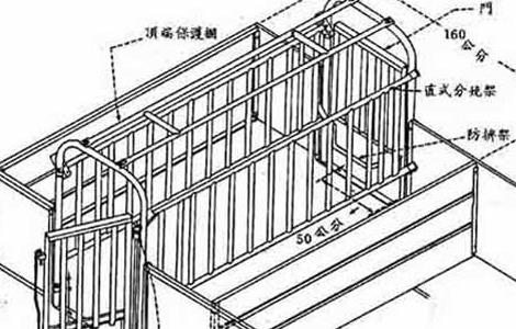 母猪定位栏的安装（母猪定位栏安装教程）