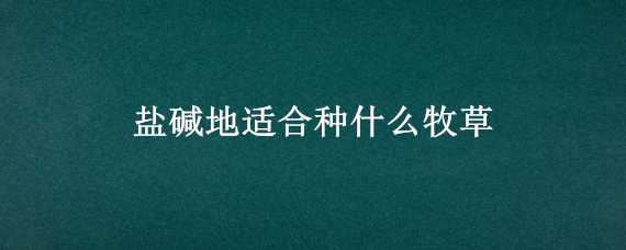 盐碱地适合种什么牧草 盐碱地适合种植什么牧草