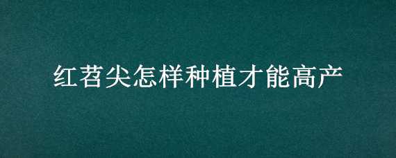 红苕尖怎样种植才能高产（苕尖如何种植）