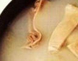 沙参养胃汤的做法(沙参养胃汤配方)