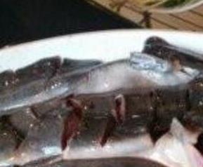 什么是梭边鱼 什么是梭边鱼烤鱼好吃吗