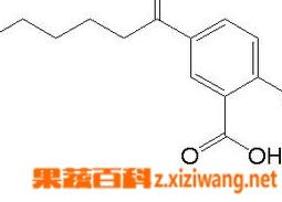 水杨酸是什么（水杨酸是什么味道）