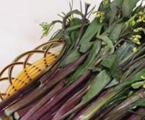 红菜苔的营养价值与功效 红菜苔的营养价值与功效与作用