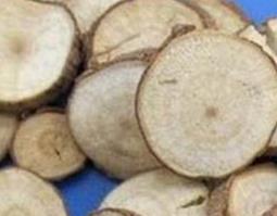 乌药图片(乌药图片大全大图)