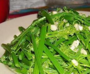 龙须菜是什么菜（广西龙须菜是什么菜）