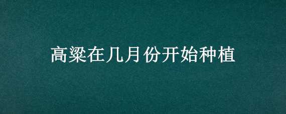 高粱在几月份开始种植 高粱在几月份开始种植最好