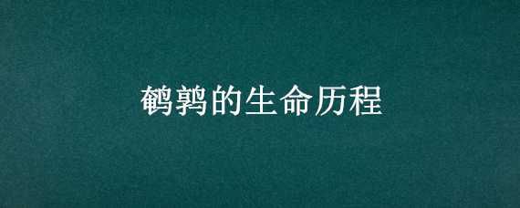 鹌鹑的生命历程（鹌鹑的生命历程视频）