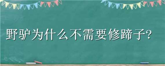 野驴为什么不需要修蹄子（野驴为什么不需要修蹄子了）