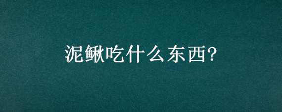 泥鳅吃什么东西?（泥鳅吃什么 如何喂养）