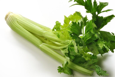 夏季芹菜的种植注意什么，芹菜应该好养吗，怎么养殖