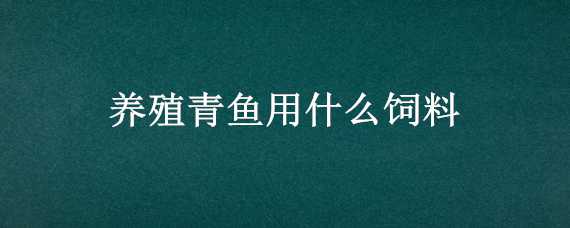 养殖青鱼用什么饲料 养殖青鱼用什么饲料比较好