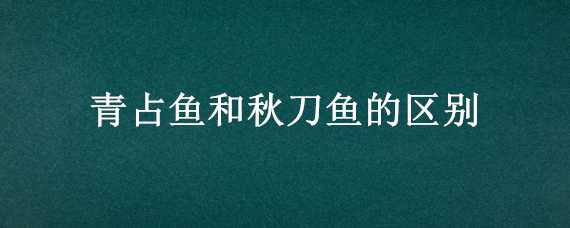 青占鱼和秋刀鱼的区别 秋刀鱼和青占鱼哪种味道好