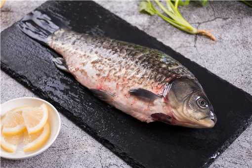 鱼肉价格上涨