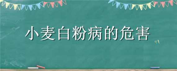 小麦白粉病的危害（小麦白粉病的危害大吗）