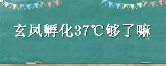 玄凤孵化37℃够了嘛 玄凤多久孵出来