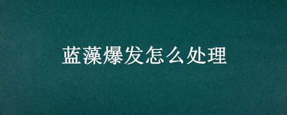 蓝藻爆发怎么处理（蓝藻爆发怎么处理掉）