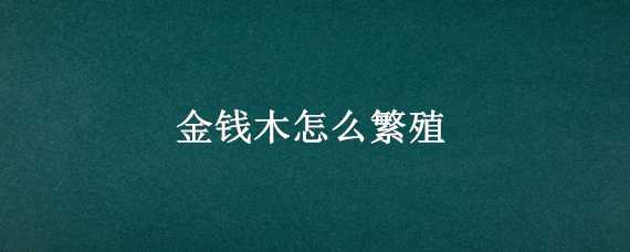 金钱木怎么繁殖 金钱木怎么繁殖视频