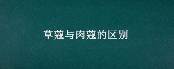 兰花种植方法注意事项（兰花种植方法注意事项视频）