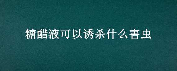 糖醋液可以诱杀什么害虫 糖醋液可以诱杀什么害虫呢