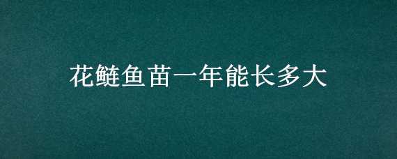 花鲢鱼苗一年能长多大 花鲢鱼苗一年能长多大图片