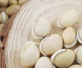 白扁豆籽的功效与作用 白扁豆籽的功效与作用及食用方法