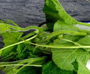 南瓜藤能治胆结石吗 南瓜藤能治胆结石吗