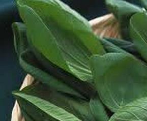 孩子补钙吃什么蔬菜好（孩子补钙吃什么蔬菜好呢）