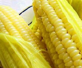 鲜玉米的功效与作用（鲜玉米的功效与作用及食用方法）