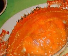 海蟹的功效与作用 海蟹的功效与作用及禁忌