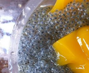 罗勒籽的功效与作用(罗勒籽的功效与食用方法)