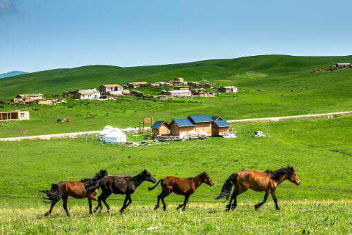 新疆家庭农场注册条件有哪些（家庭农场种养结合注册条件）