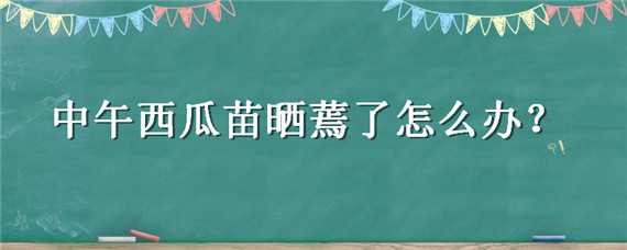 中午西瓜苗晒蔫了怎么办 西瓜苗蔫了如何恢复