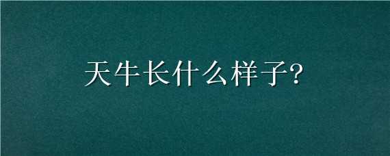 天牛长什么样子?（天牛长什么样子会飞吗）