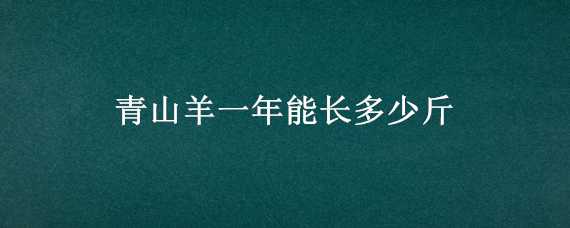 青山羊一年能长多少斤（青山羊一年能长多少斤肉）