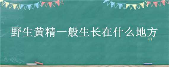 野生黄精一般生长在什么地方（野生黄精的生长在哪些地方）