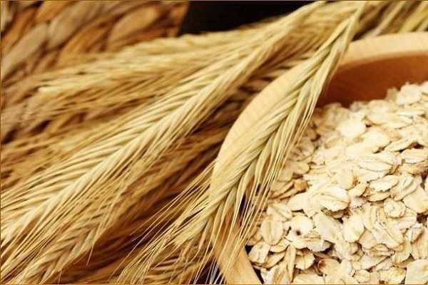 燕麦和莜麦一样吗，两者有什么区别 燕麦和莜麦一样吗,两者有什么区别吗