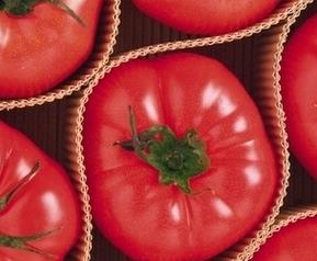 西红柿催熟剂的危害 西红柿催熟剂的危害是什么