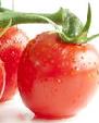 番茄施肥注意事项 番茄施肥的正确方法