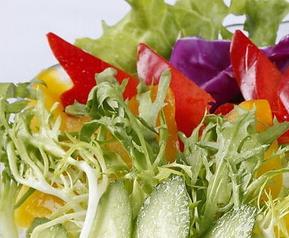 蔬菜沙拉做法 蔬菜沙拉做法英语作文