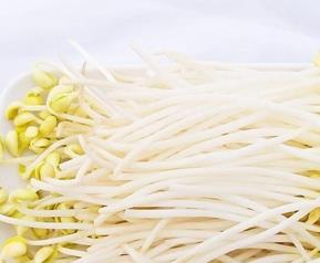 黄豆芽的营养价值 黄豆芽的营养价值有哪些