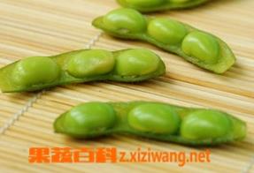 毛豆功效主治和基本特征（毛豆的作用及功效作用）