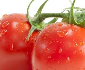 番茄红素胶囊的副作用 番茄红素胶囊的副作用有哪些