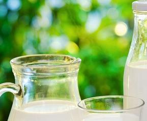 养胃的东西有哪些 养胃的东西都有哪些