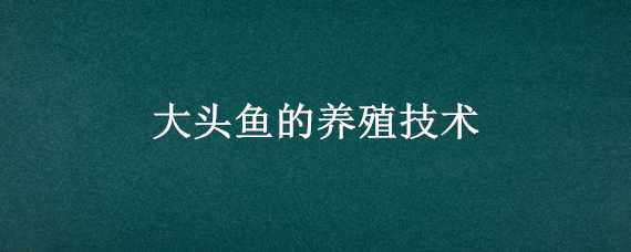 大头鱼的养殖技术（大头鱼的养殖技术和方法）