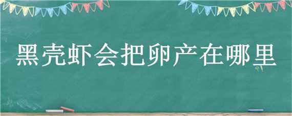 黑壳虾会把卵产在哪里（怎么看黑壳虾是否产卵）