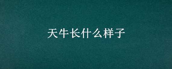 天牛长什么样子 天牛长什么样子会飞吗